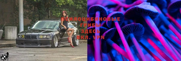 spice Балахна
