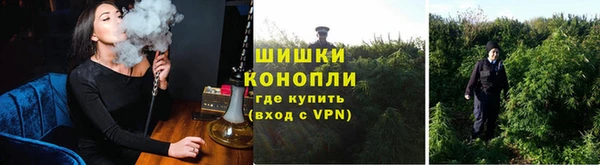 spice Балахна