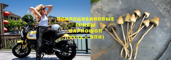 spice Балахна